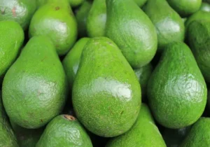 PALTA NACIONAL