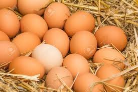 Huevos de granja Free Range