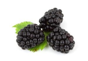 Zarzamora petaca 150grs